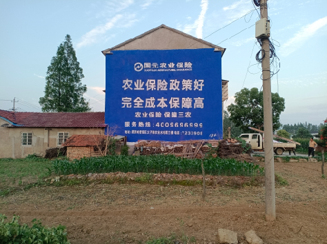 通山墙体广告的优劣势你知道吗？